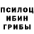 Псилоцибиновые грибы прущие грибы Daria Berezovskay