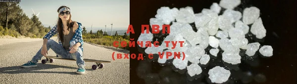 стаф Богородск