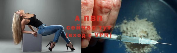 индика Дмитровск