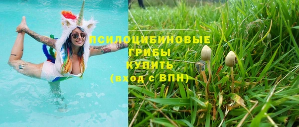 стаф Богородск