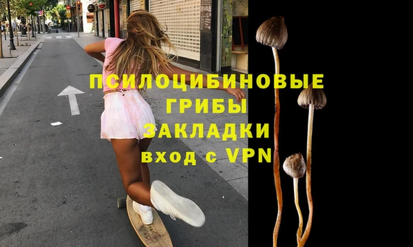 МДМА Богородицк